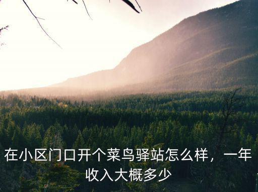 在小區(qū)門口開個菜鳥驛站怎么樣，一年收入大概多少
