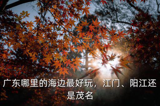 廣東茂名農村靠海的地方是哪里,廣東哪里的海邊最好玩