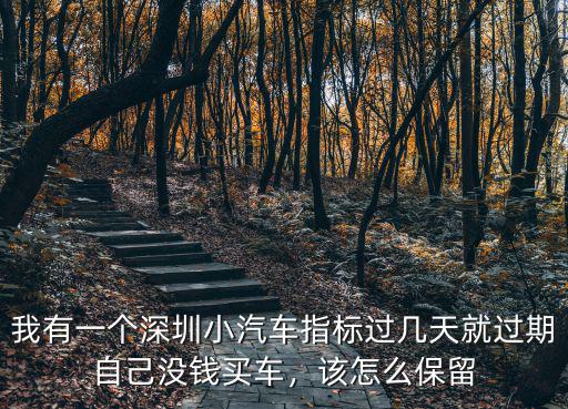 怎么注冊(cè)深圳更新指標(biāo),深圳市小汽車(chē)如何更新指標(biāo)