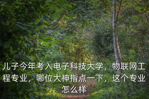 深圳技術(shù)大學的物聯(lián)網(wǎng)工程怎么樣,物聯(lián)網(wǎng)工程專業(yè)