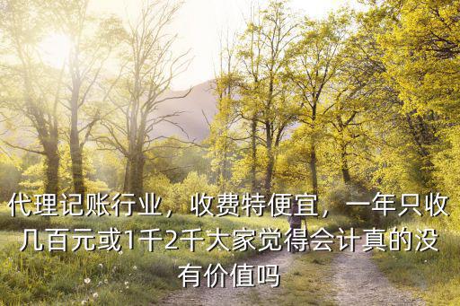 中山代理記賬多少費用,代理記賬行業