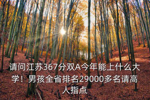 請(qǐng)問江蘇367分雙A今年能上什么大學(xué)！男孩全省排名29000多名請(qǐng)高人指點(diǎn)