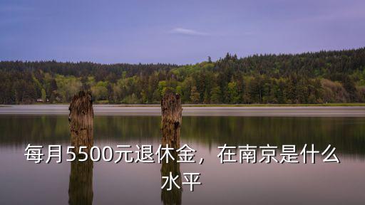 南京高淳區(qū)農(nóng)村養(yǎng)老金是多少,在南京是什么水平