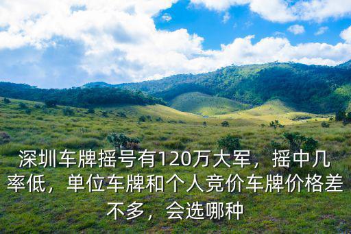 深圳車牌搖號(hào)有120萬(wàn)大軍，搖中幾率低，單位車牌和個(gè)人競(jìng)價(jià)車牌價(jià)格差不多，會(huì)選哪種