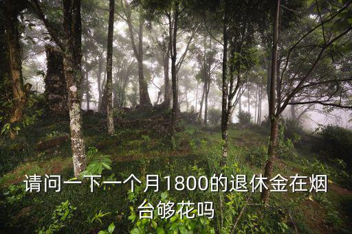 請(qǐng)問(wèn)一下一個(gè)月1800的退休金在煙臺(tái)夠花嗎