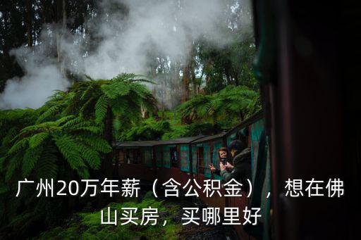 12000在佛山哪里買房,想在佛山買房