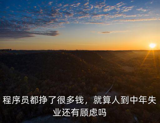 泰安程序員能掙多少錢,程序員都掙了很多錢
