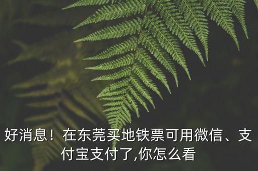 好消息！在東莞買地鐵票可用微信、支付寶支付了,你怎么看