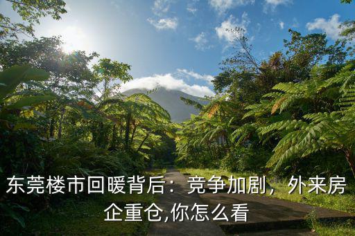 廣東外來房企怎么樣,面對外來房企