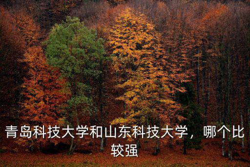 山東科技大學(xué)在校多少人,山東科技大學(xué)