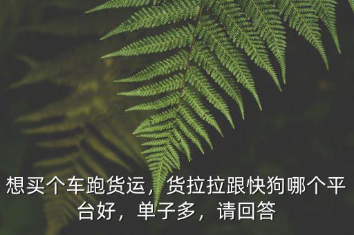 廣州哪里跑貨拉拉單多,跑貨拉拉什么車活多