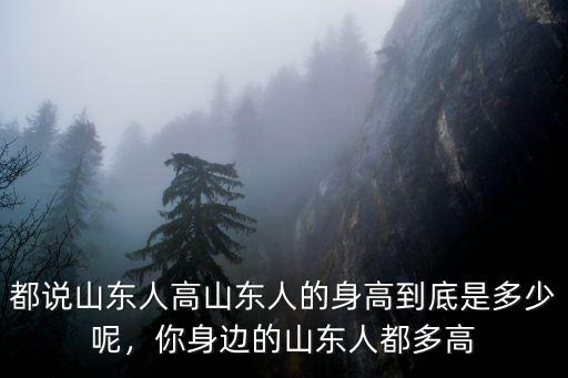 山東人身高平均多少,南方人說到山東人
