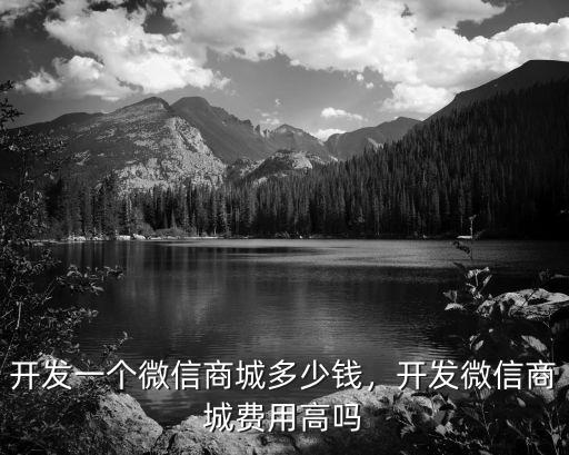 東莞附近做商城開發(fā)多少錢,返利商城開發(fā)需要多少錢