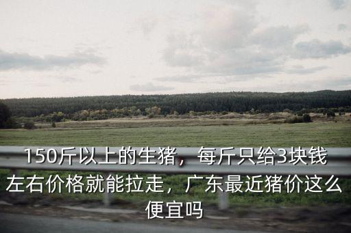 150斤以上的生豬，每斤只給3塊錢左右價格就能拉走，廣東最近豬價這么便宜嗎
