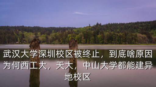 武漢大學(xué)深圳校區(qū)被終止，到底啥原因?yàn)楹挝鞴ご螅齑螅猩酱髮W(xué)都能建異地校區(qū)