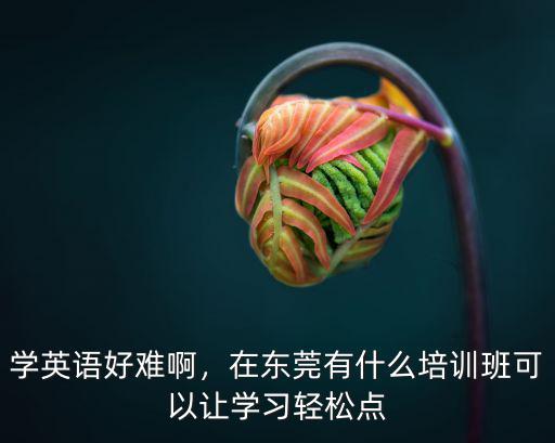 學英語好難啊，在東莞有什么培訓班可以讓學習輕松點