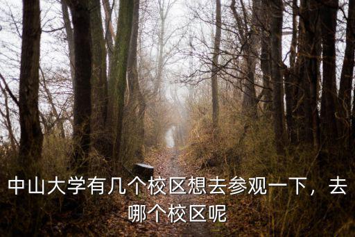中山大學東校區有多少學生,中山大學有幾個校區