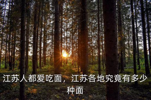 江蘇人都愛吃面，江蘇各地究竟有多少種面