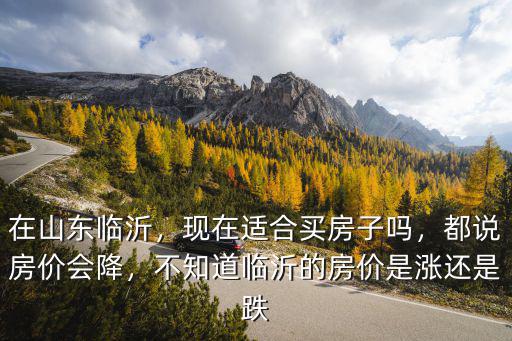 在山東臨沂，現在適合買房子嗎，都說房價會降，不知道臨沂的房價是漲還是跌