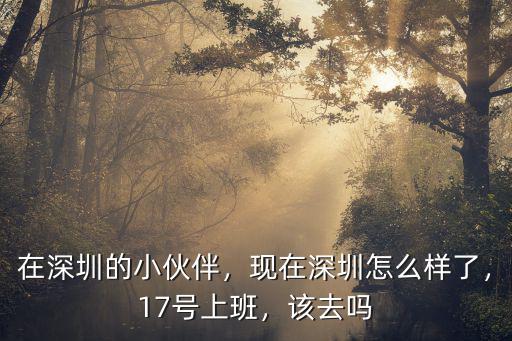 在深圳的小伙伴，現(xiàn)在深圳怎么樣了，17號上班，該去嗎