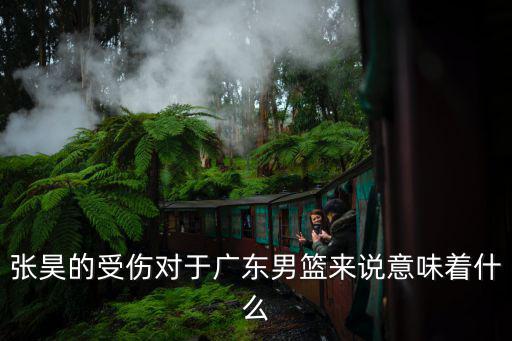 張昊的受傷對(duì)于廣東男籃來說意味著什么