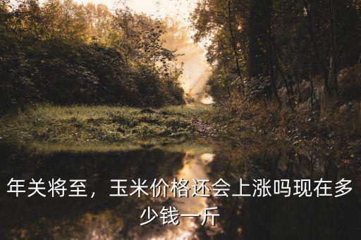 年關將至，玉米價格還會上漲嗎現在多少錢一斤