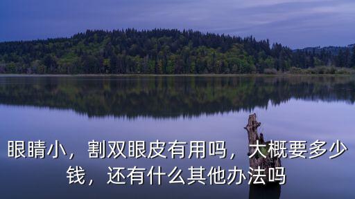 眼睛小，割雙眼皮有用嗎，大概要多少錢，還有什么其他辦法嗎