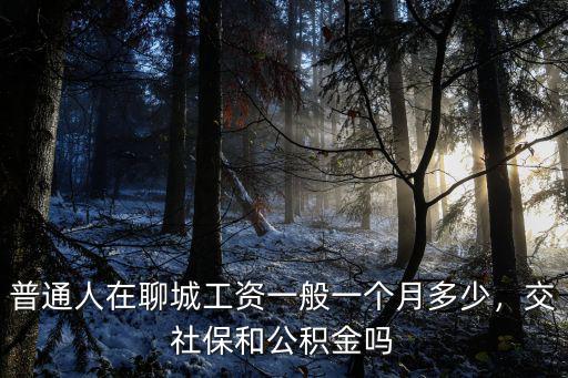 普通人在聊城工資一般一個月多少，交社保和公積金嗎
