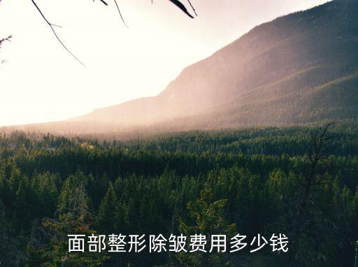 蘇州面部除皺手術(shù)多少錢,55歲做面部拉皮多少錢