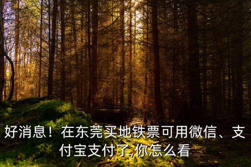 東莞公交車微信支付怎么用,在東莞買地鐵票可用微信