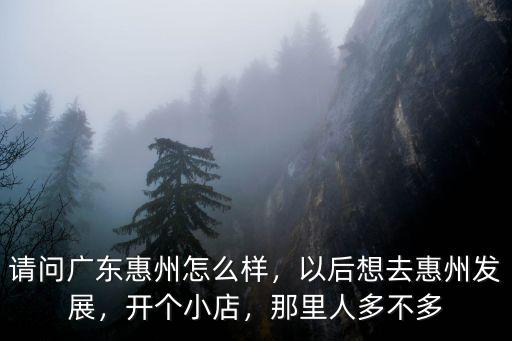 惠州淡水沃爾瑪人流量怎么樣,惠州哪些地段的人流量比較大