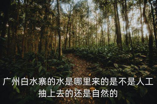 廣東的溪水在哪里,廣州白水寨的水是哪里來的