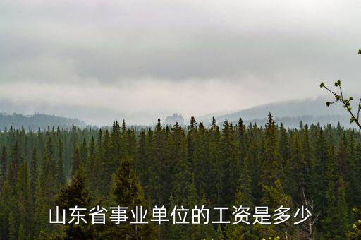 山東省事業單位的工資是多少