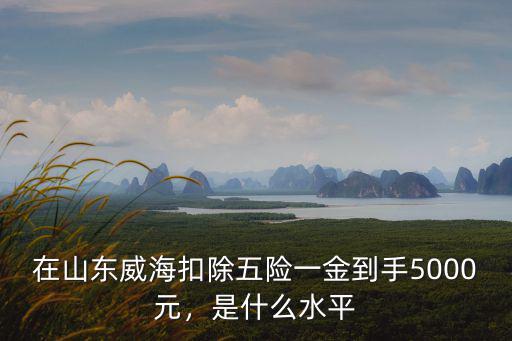 在山東威海扣除五險一金到手5000元，是什么水平
