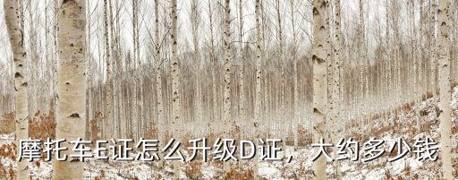 摩托車E證怎么升級D證，大約多少錢