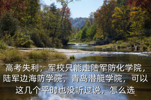 山東青島海軍潛艇學院多少分,陸軍邊海防學院