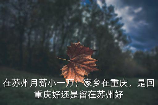 重慶比蘇州大多少,重慶經濟超越蘇州后