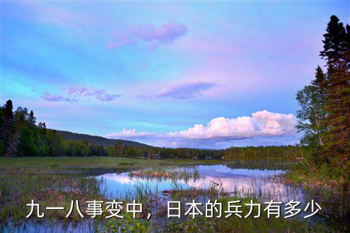 日本侵犯廣東有多少兵,廣西兵打仗比廣東兵更狠嗎