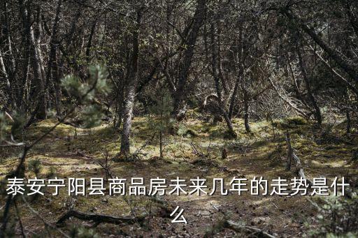 泰安寧陽縣商品房未來幾年的走勢是什么
