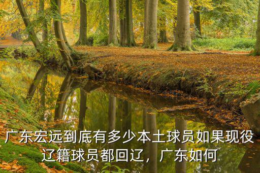 廣東宏遠(yuǎn)有多少工業(yè)園,廣東宏遠(yuǎn)到底有多少本土球員