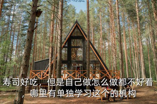 壽司好吃，但是自己做怎么做都不好看，哪里有單獨學習這個的機構