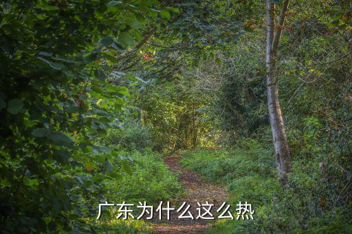 廣東為什么這么熱
