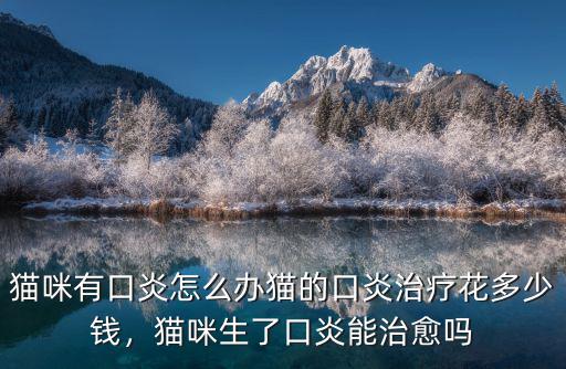 鹽城貓咪血常規多少錢,養一只銀漸貓咪要多少錢