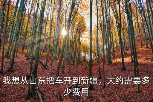 濟南私家車托運需要多少錢,托運一輛家轎要多少錢