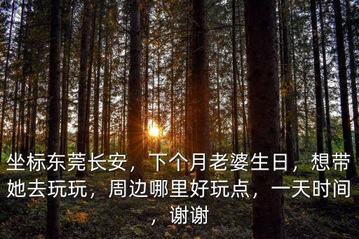 坐標東莞長安，下個月老婆生日，想帶她去玩玩，周邊哪里好玩點，一天時間，謝謝