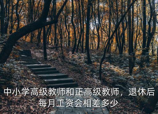 江蘇中學高級教師退休工資多少,中小學高級教師和正高級教師