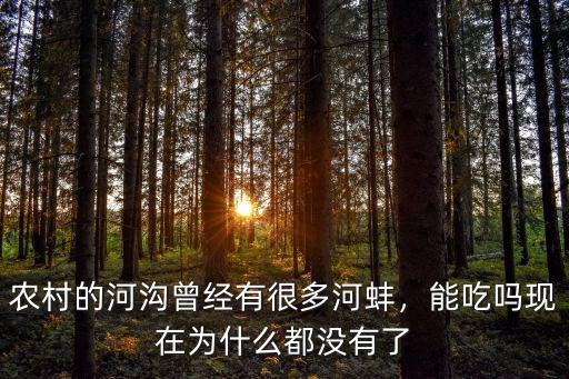 惠州哪里有撿河蚌的人,農村的河溝曾經有很多河蚌
