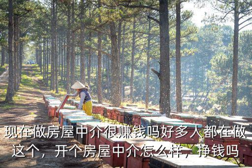 中山現(xiàn)在做地產(chǎn)中介怎么樣,現(xiàn)在做房屋中介很賺錢嗎
