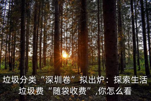 垃圾分類“深圳卷”擬出爐：探索生活垃圾費“隨袋收費”,你怎么看