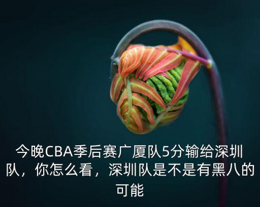 今晚CBA季后賽廣廈隊(duì)5分輸給深圳隊(duì)，你怎么看，深圳隊(duì)是不是有黑八的可能